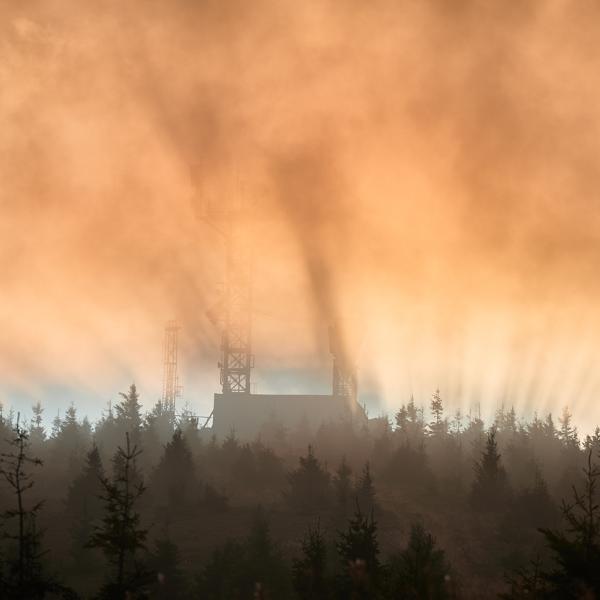 A hazey smokey fog hovers over a forest.